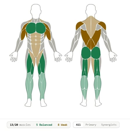 myogu_bodymap_full